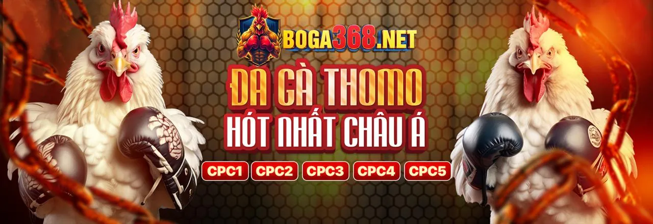 Đá gà trực tuyến kịch tính tại ae789 app